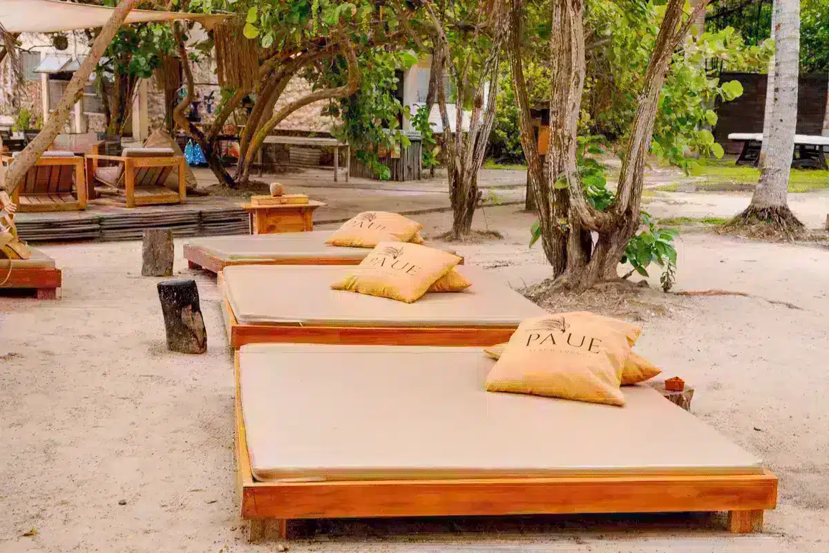 Isla Paue - Image 10