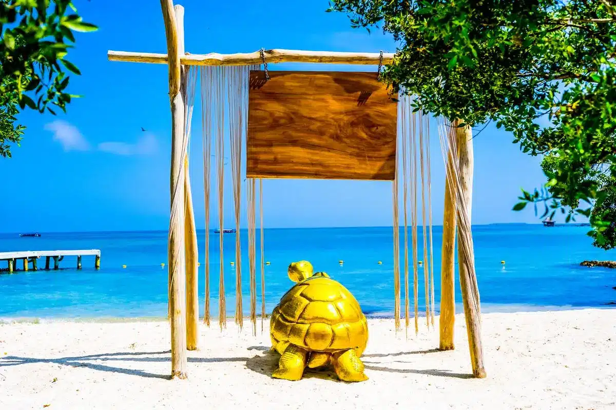 Pao Pao Beach Club - Image 6