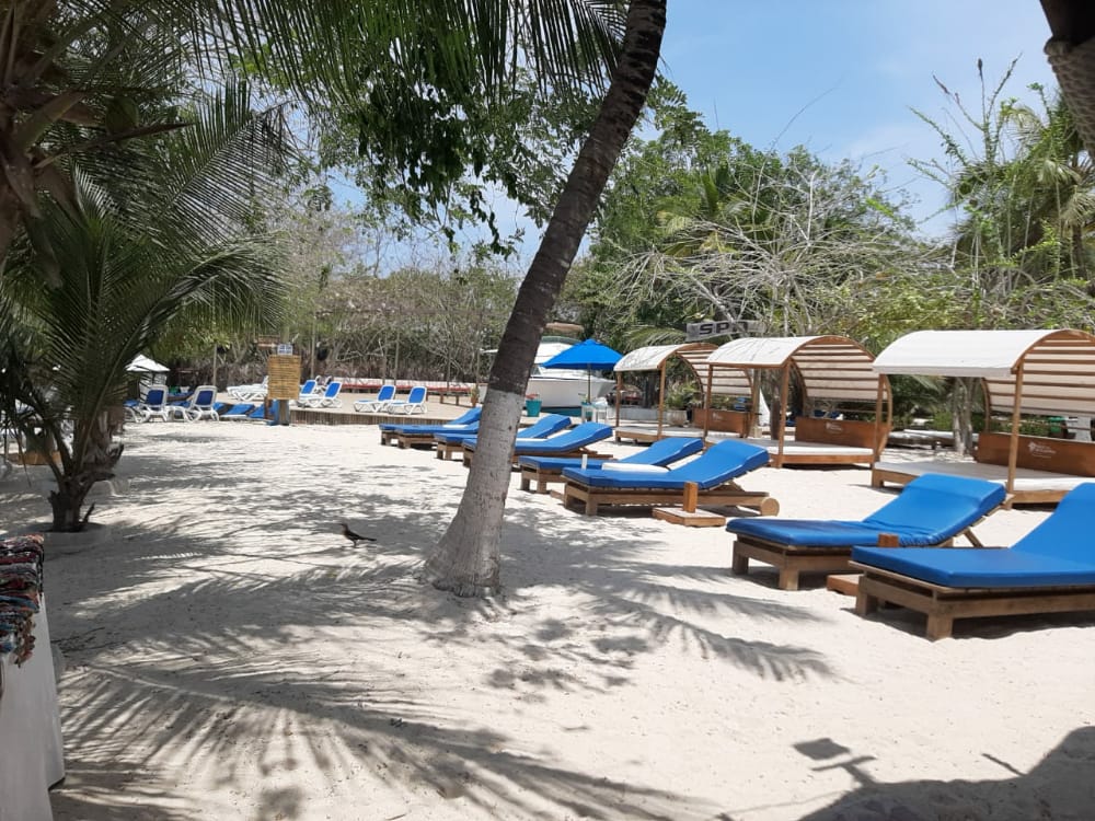 Isla del Encanto - Image 2