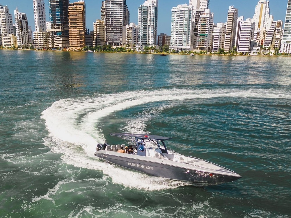 Lancha Blue Horizon - Image 4