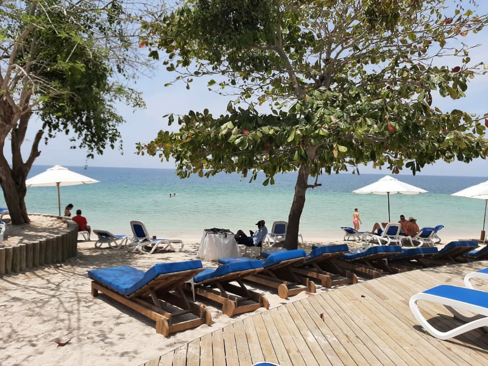 Isla del Encanto - Image 6